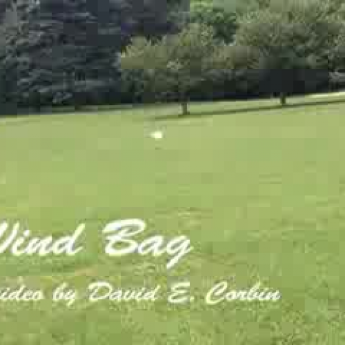 Wind Bag: The adventures of a plastic bag (a 