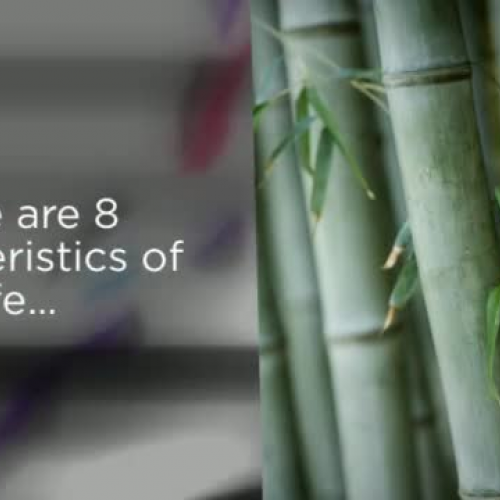 Charcacteristics of life