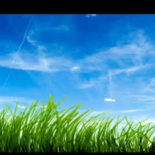 Photosynthesis: A Digital Story Assignment