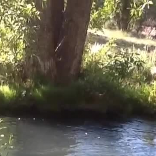 Mrs. Franks’ Welcome