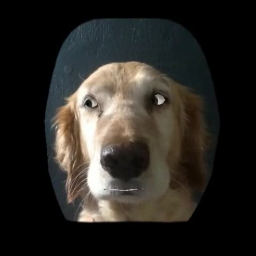 Equivalent Rates Video