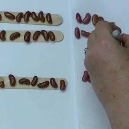 Bean Sticks - Addition with Regrouping Pt. 2