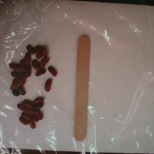 How to Make Bean Sticks