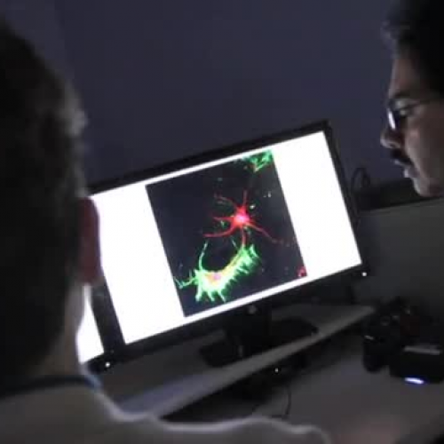 myInternship. myProfession. (2013 Cleveland C