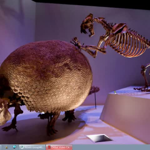 How to add a network printer