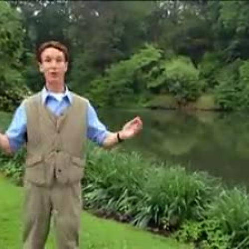 B01ZMH_12570204701197_Classification_of_Speci