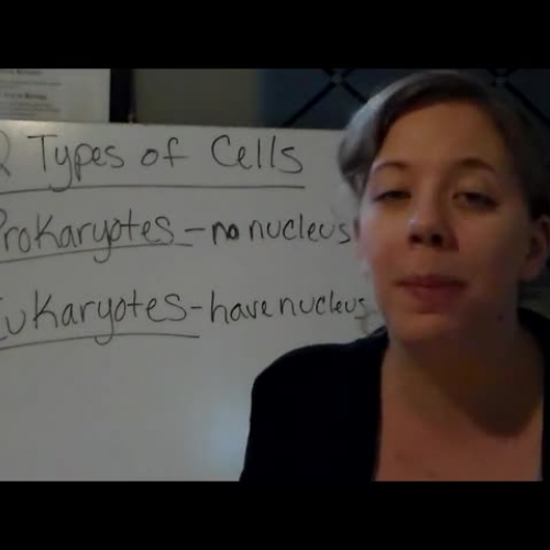 Prokaryotes and Eukaryotes