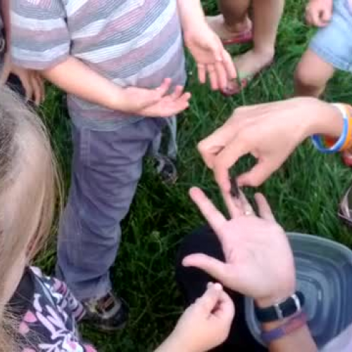 Preschoolers and a Fall Cicada