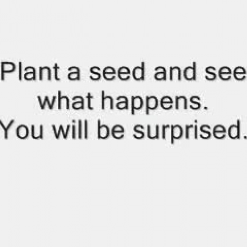Plant a little seed