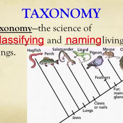 Binomial Nomenclature