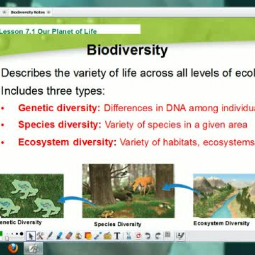 Biodiversity Notes