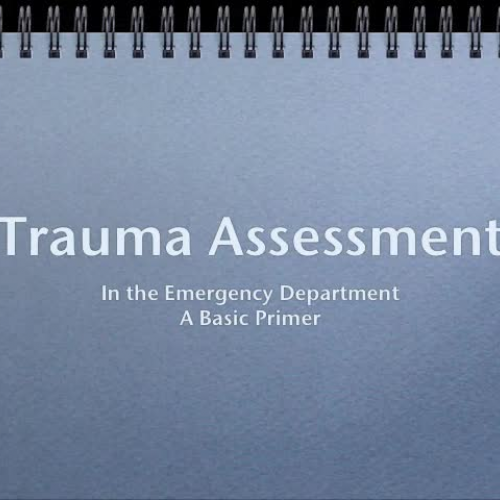 Trauma Assessment Primer