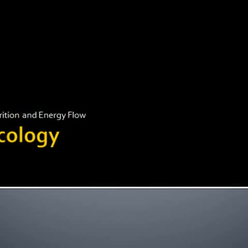 Nutrition and Energy Flow