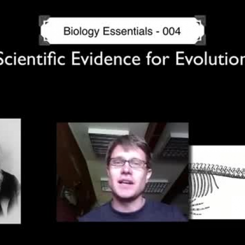 Evidence for Evolution