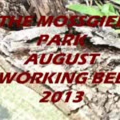 ICT Project Lucas and Mia