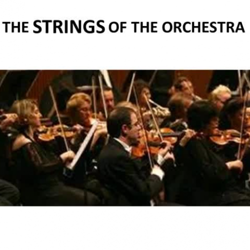 INSTRUMENTS OF THE SYMPHONIC ORCHESTRA
