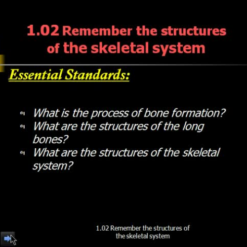 1.02 Structures of Skeletal System