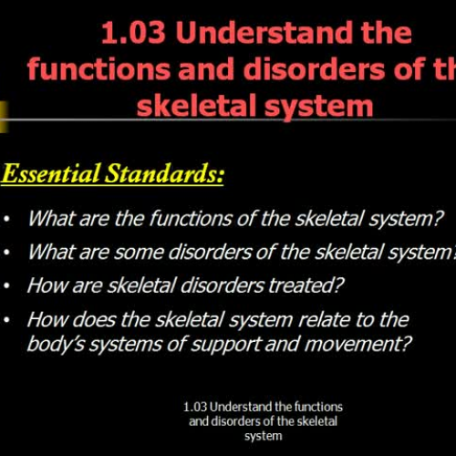 HS 1-1.03 Functions &amp; Disorders of Skelet