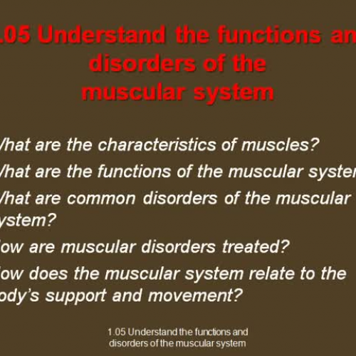 HS1- 1.05 Functions &amp; Disorders of Muscul