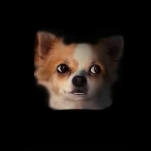 Multiple Representations Video