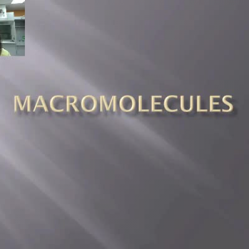 macromolecules