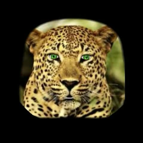 Percent Decrease - Discount Video