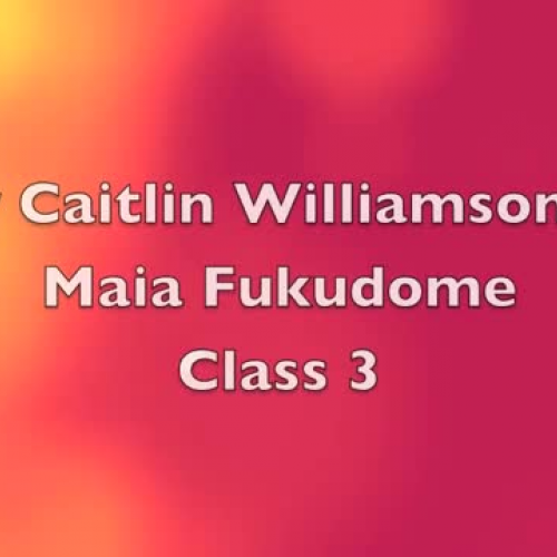 Subject Verb Agreement