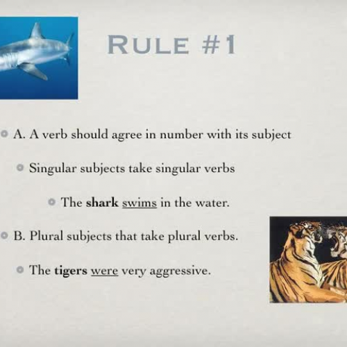 LE5SubjectVerbAgreementParkJames