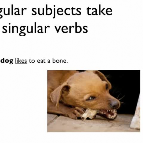 5SubjectVerbLDavidAndrea