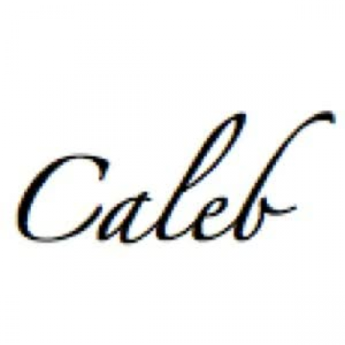 Subject Verb Agreement