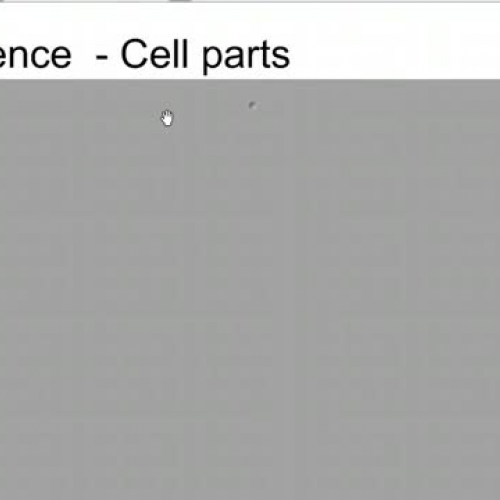 Science - cell parts