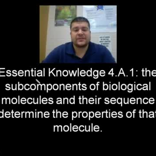 003 - Macromolecules