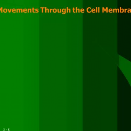 Ch3B-Cells (Movements thru Cells)