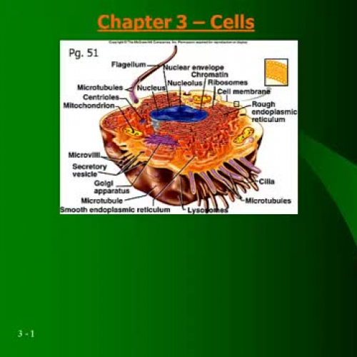 Ch3A-Cells (Intro, Typical Cell)