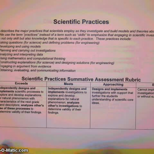 Blue Bottle Evaluation Explanation