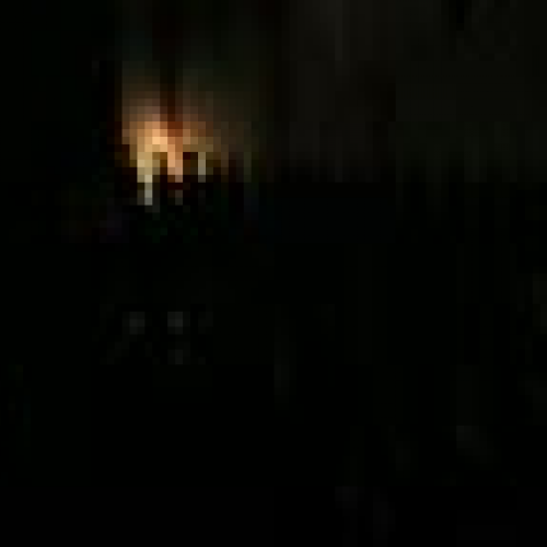 Eltham East Primary School Choir - Light up t