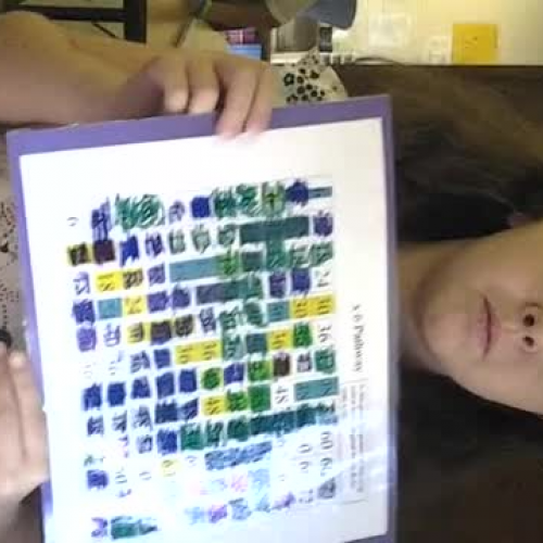 Dakota &amp; Courtinee