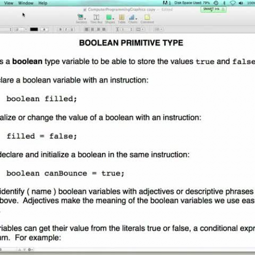 Boolean Primitive Type