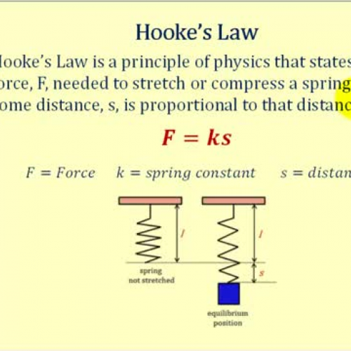 Hookes Law Ex