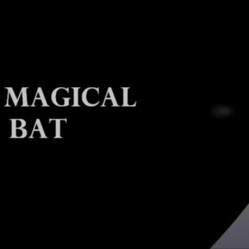 The Magical Bat