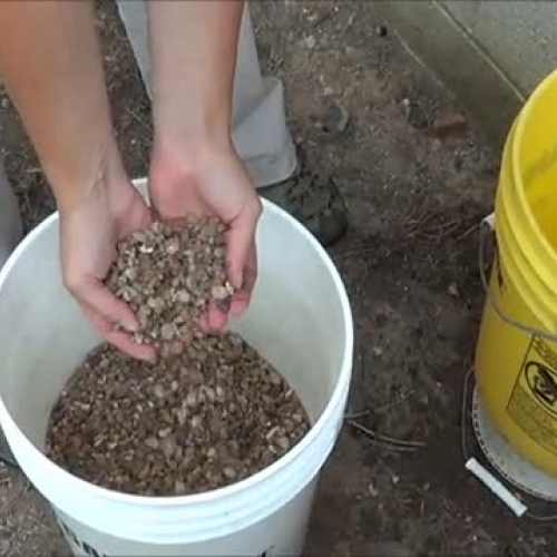 Aquarium Preparation Gravel Rinse (Video 4)