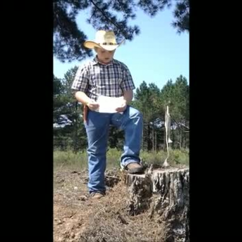 Brownwood, Tx - Herbie