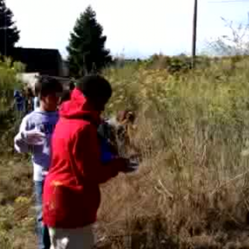 Marin City Marsh CA Coastal Clean Up 2013