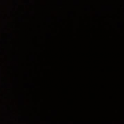 Ying Zhe and Anya MV