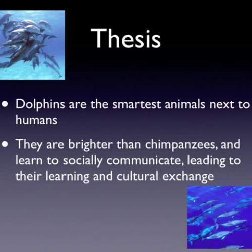 dolphin keynote