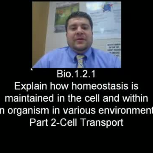 007 - Cell Transport