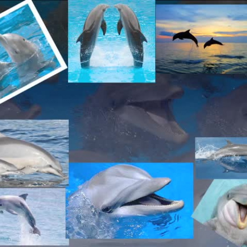 LE5ResearchPresentationLeeNathan