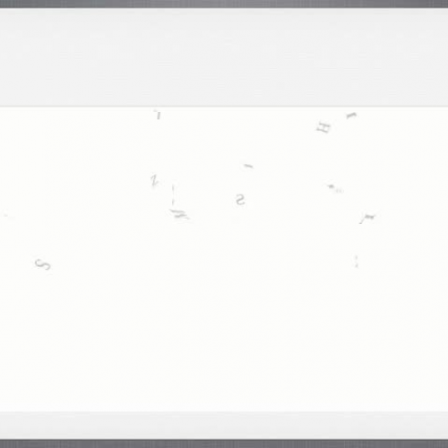 Jinwoo Animal Research Presentation