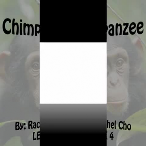 4ResearchPresentationMovieChoRachel