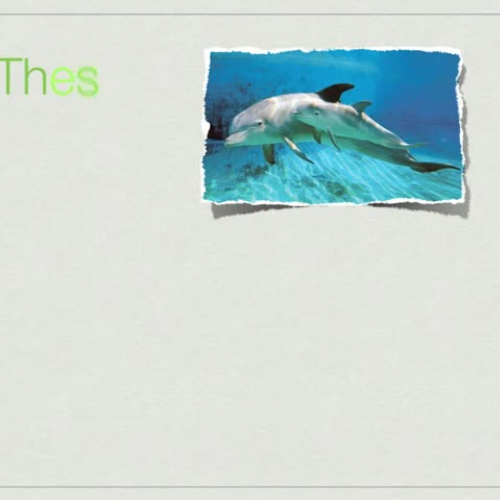 5KimJadenResearchPresentation